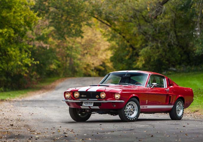 Shelby Mustang GT500 1967