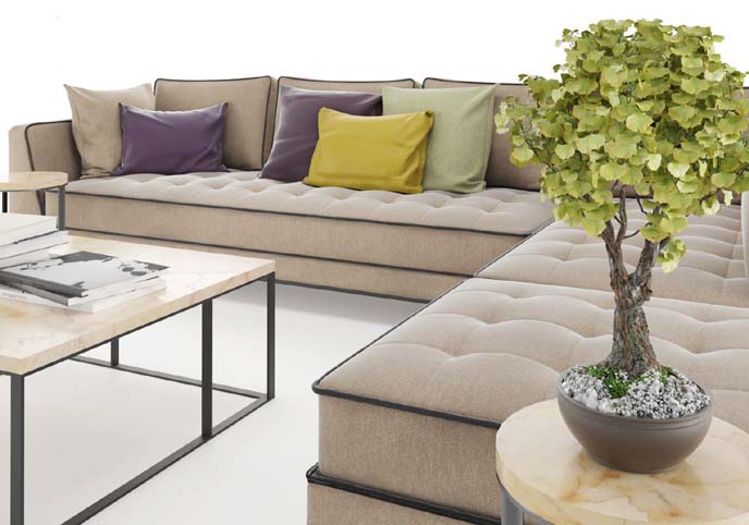 Corner sofa set with table and plant