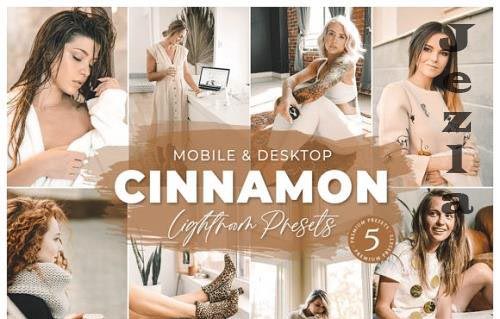 Cinnamon Mobile Desktop Lightroom Presets Lifestyle Instagram
