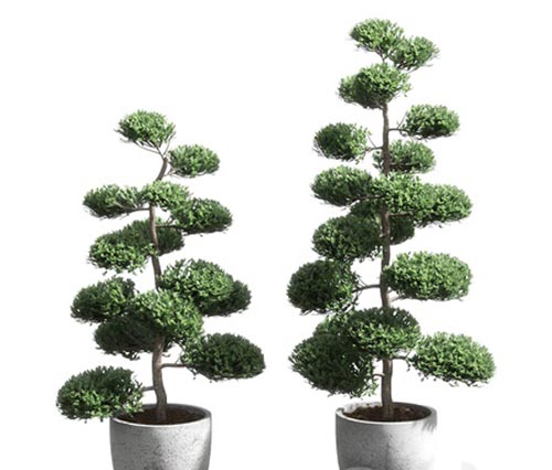 Bonsai with spherical branches. 2 models