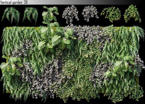 Vertical garden 26