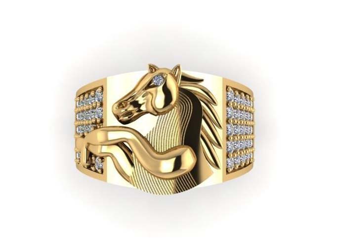 Horse ring