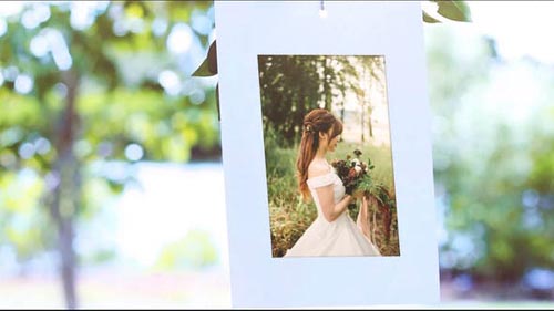 Videohive - Photo Gallery Under Tree - 31647671