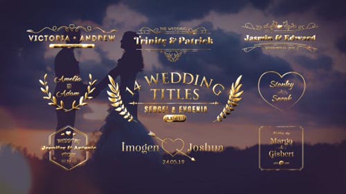 Videohive - Wedding Titles - 21473391