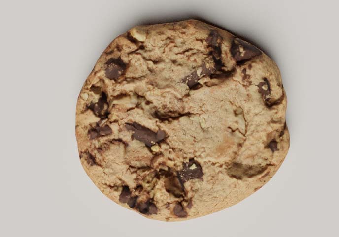 Chocolate Chip Cookie photoscanned