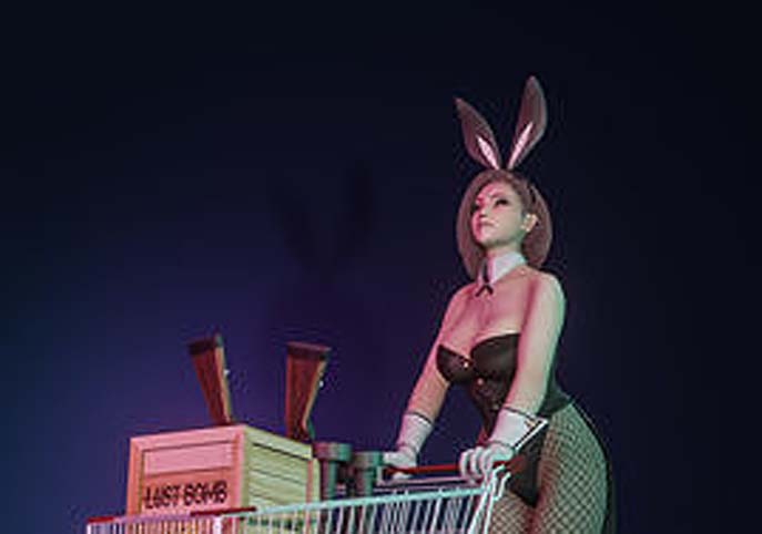 The Shopping Rabbit