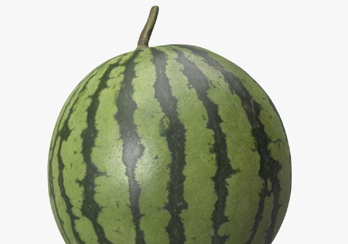 Watermelon Scan