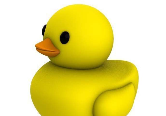 Rubber Duck