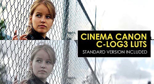 Cinema Canon C-Log3 And Standard Luts 1011676 - After Effects Presets