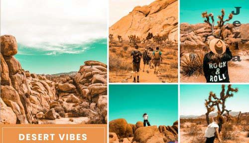 Desert Vibes Tones Action & Lightrom Presets