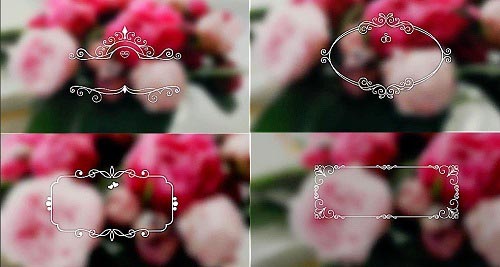 Wedding Ornaments 1042666 - Project for After Effects
