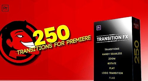 Handy Seamless Transitions 237638 - Premiere Pro Templates