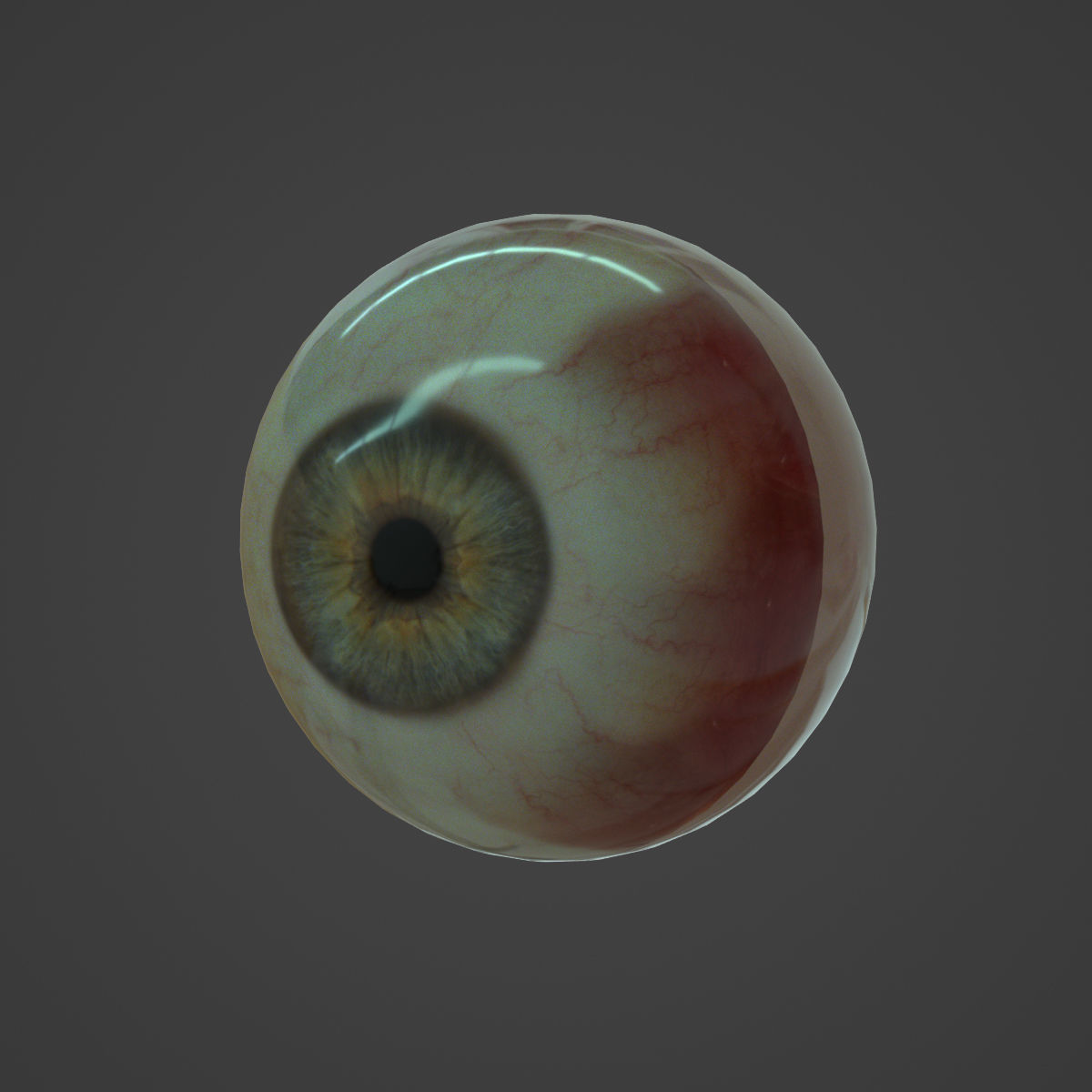 Realistic human eye