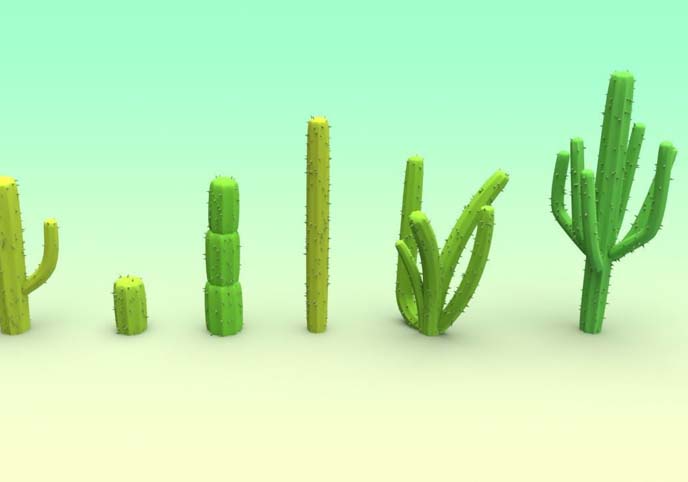 Cactus Set