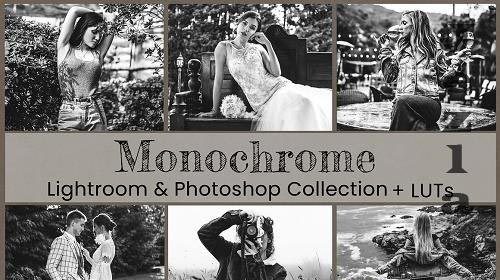 Monochrome Lightroom Photoshop LUT - 6802983