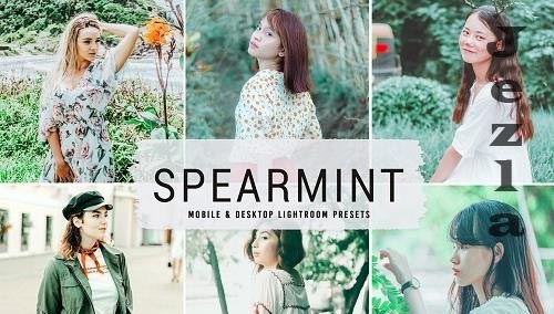Spearmint Pro Lightroom Presets - 6836984