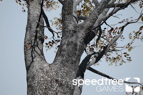 SpeedTree Games 9.0.0 Enterprise Win x64