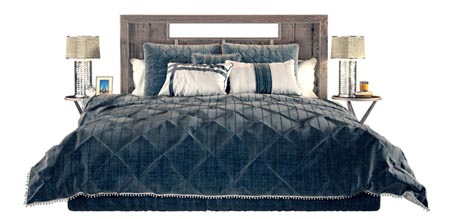 Drucilla Comforter Set HMPT1817