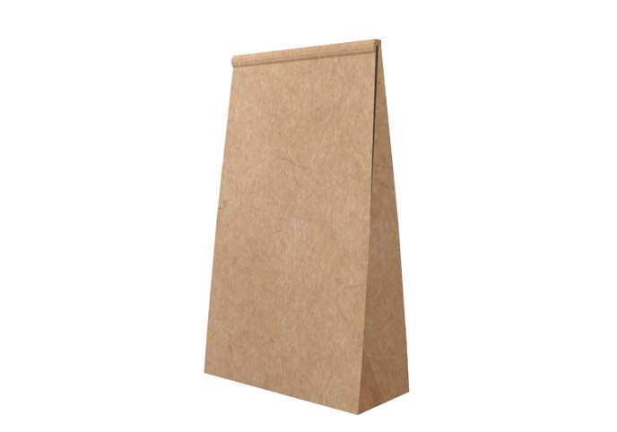 Paper Takeaway Bag v1 001