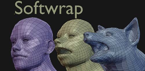 Softwrap - Dynamics For Retopology