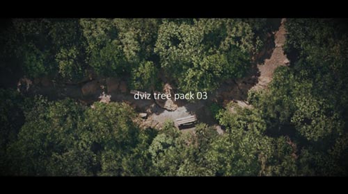 DVIZ - Unreal Engine Tree and Forest Pack 03