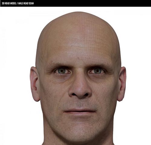 3D Scan Store - Retopologised Male Head 022