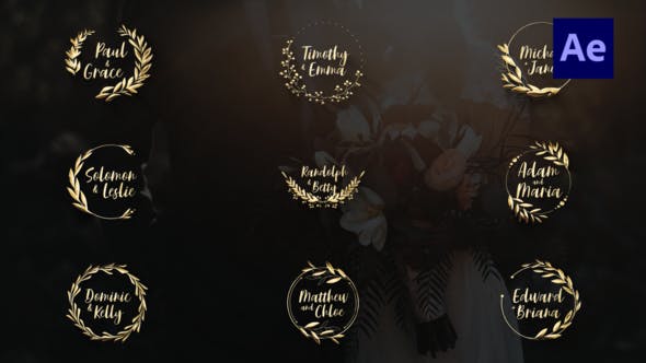 Videohive - Gold Wedding TItles | After Effects - 35835681