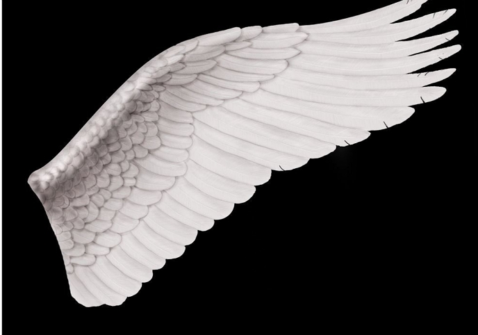 Angel Wings