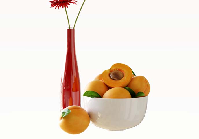 Apricots and Gerberas