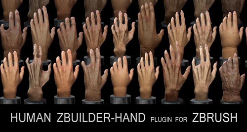 Artstation - Human Zbuilder - Hand