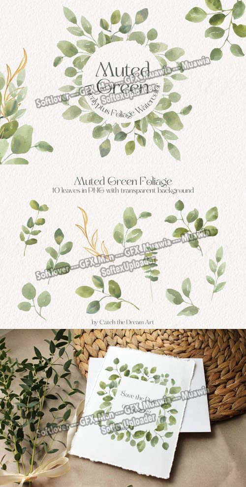 Green Eucalyptus Watercolor - Foliage Illustrations