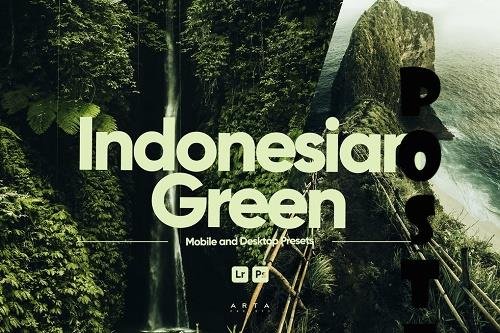 ARTA - Indonesian Green Presets for Lightroom - LAF2E6M