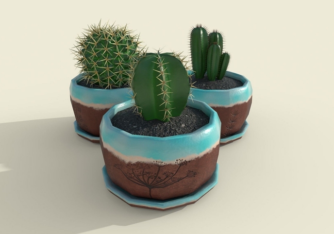 Cacti