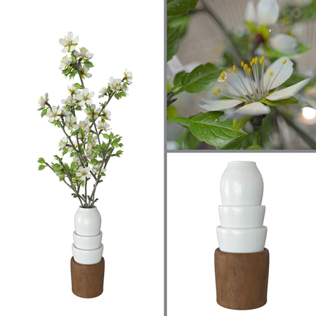 Prunus domestica vase