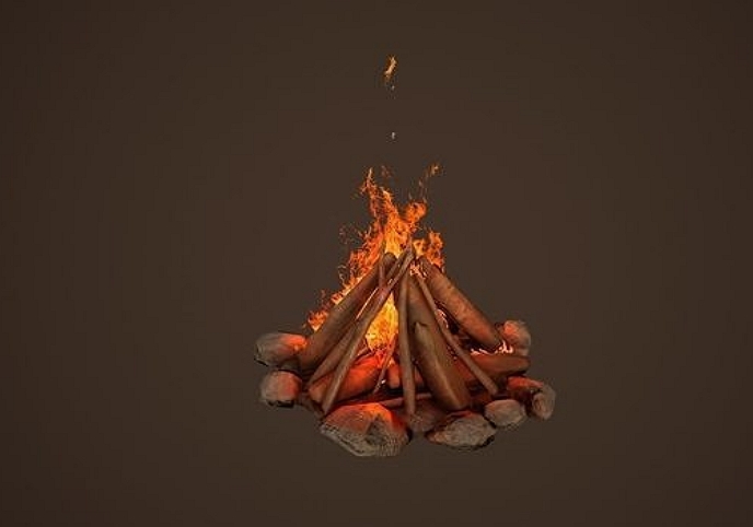 Campfire with wood