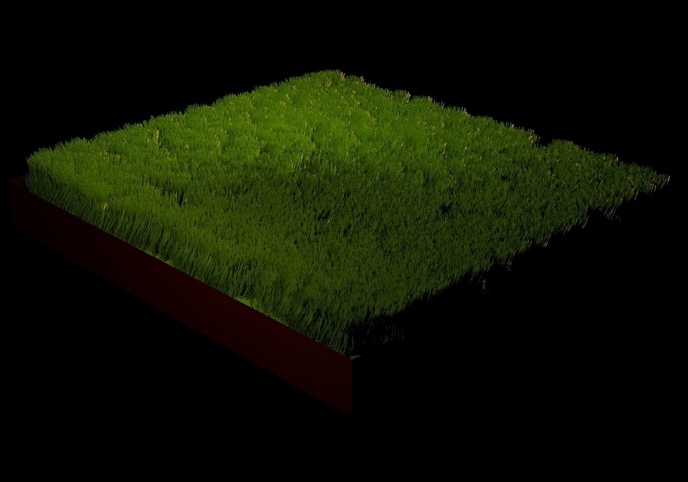 Grass model