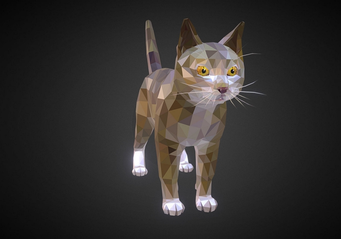 Cat Low Polygon Art Farm Animal