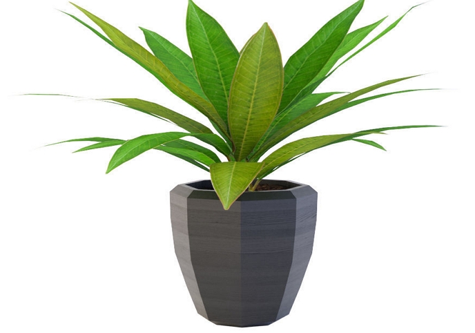 Artificial Plant