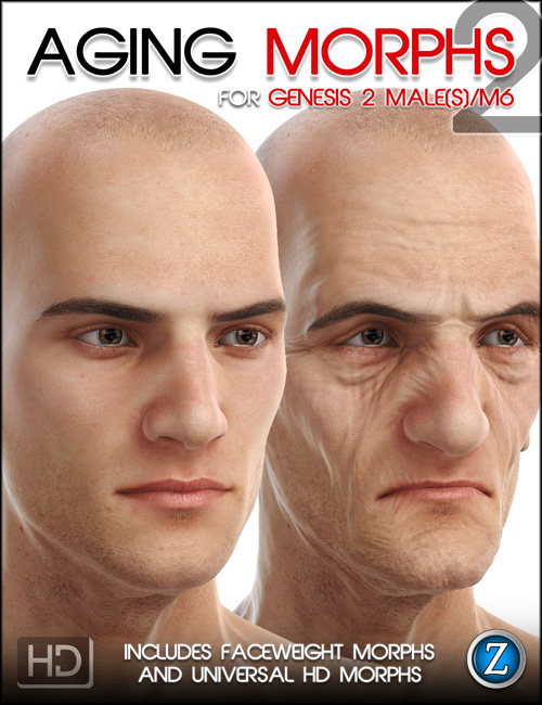 Aging Morphs 2 for Genesis 2 Male(s)/M6 HD
