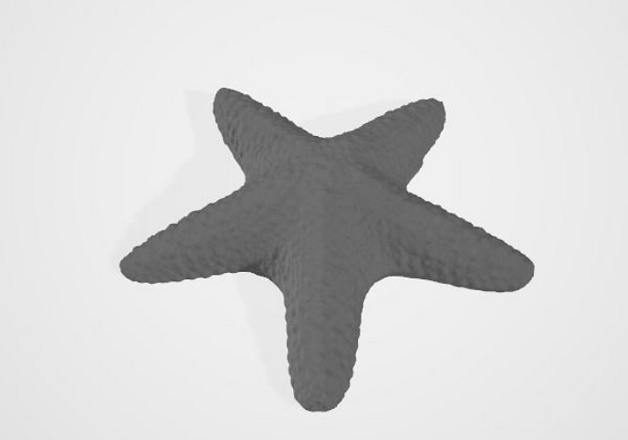 Starfish two type