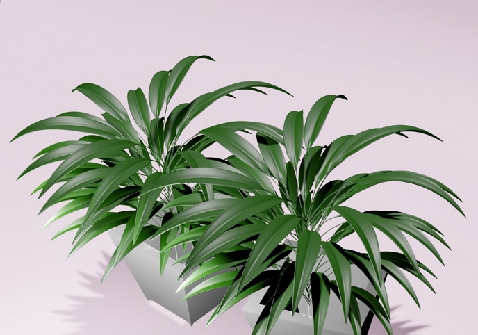 Plant in Vase Free low-poly 3D model