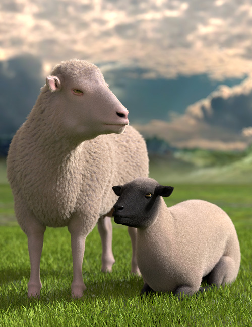 DAZ Sheep 2