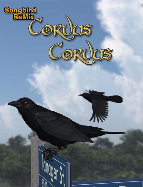 Songbird ReMix Corvus corvus Update 2021