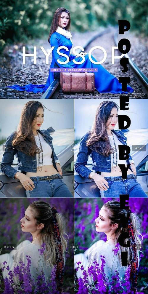 Hyssop Pro Lightroom Presets - 7193785