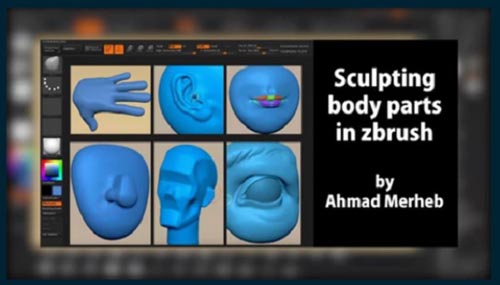 Skillshare - Sculpting Body Parts in Zbrush For Animation Ahamd Merheb