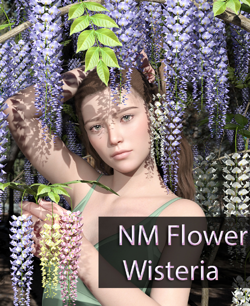 NM Flower Wisteria