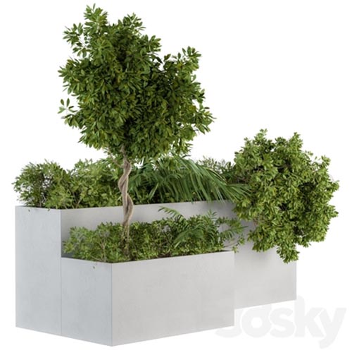 Outdoor Plants Concrete Box - Set 45
