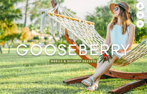 Gooseberry Pro Lightroom Presets - 7403892