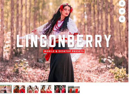 Lingonberry Pro Lightroom Presets - 7403893