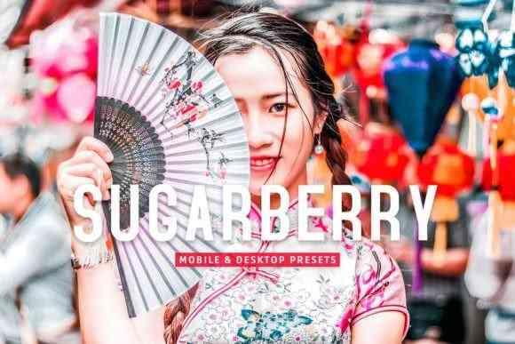 Sugarberry Pro Lightroom Presets - 7473596
